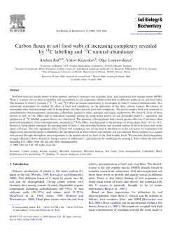 Carbon fluxes in soil food webs of increasing complexity revealed by