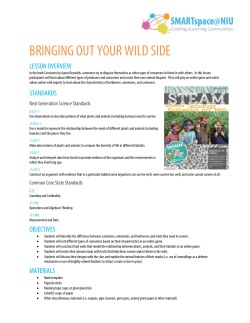 Bringing Out Your Wild Side Lesson Plan