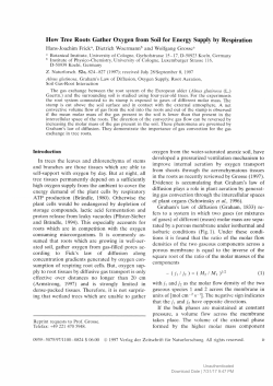 How Tree Roots Gather Oxygen from Soil for Energy