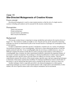 Case 15 Site-Directed Mutagenesis of Creatine Kinase Focus
