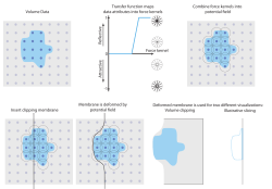 -1 1 0 Force kernel Volume Data Transfer function maps data