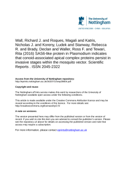 SAS6-like protein in Plasmodium indicates that conoid
