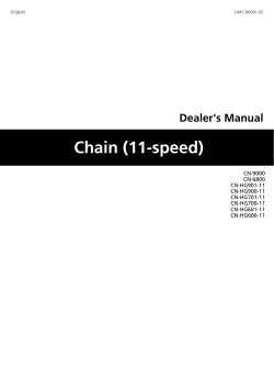 Chain (11-speed)