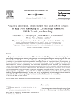 Aragonite dissolution, sedimentation rates and carbon isotopes in