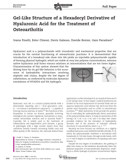 Gel-Like Structure of a Hexadecyl Derivative of Hyaluronic Acid for