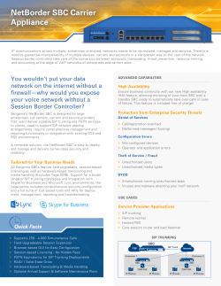 NetBorder SBC Carrier Appliance