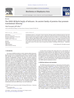 The DHH1/RCKp54 family of helicases