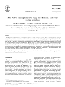 Blue Native electrophoresis to study mitochondrial