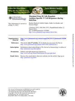 Infection Antigen-Specific T Cell Responses during Marginal Zone B