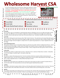 The Vegetables - Wholesome Harvest CSA