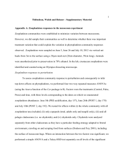 Thibodeau, Walsh and Beisner - Supplementary Material Appendix