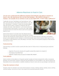 Adverse Reactions to Food in Cats
