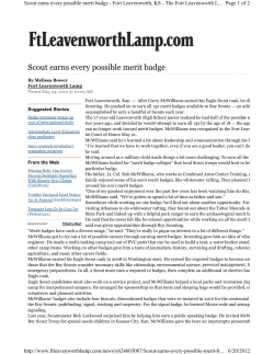 Scout earns every possible merit badge