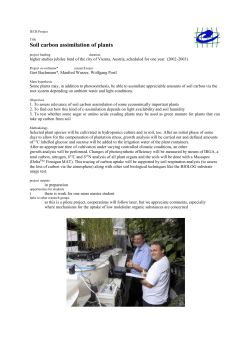 Konzept f&uuml;r die Projektdarstellungen f&uuml;r die web