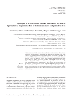 Hydrolysis of Extracellular Adenine Nucleotides by Human