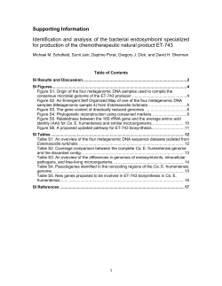 SI Results and Discussion