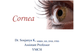 Cornea - Yengage
