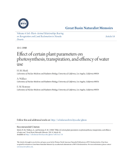 Effect of certain plant parameters on photosynthesis, transpiration