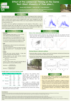 Effect of Pre-commercial Thinning on the Coarse Root