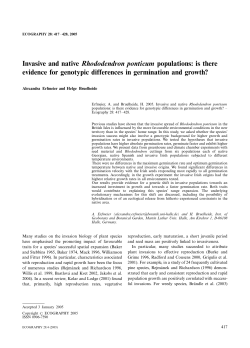 Invasive and native Rhododendron ponticum populations: is there