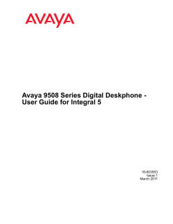 Avaya 9508 Telephone User Guide