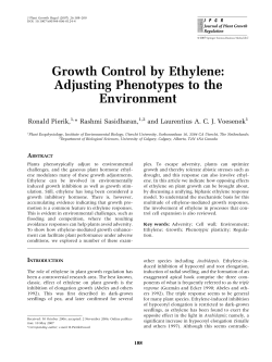 Growth Control by Ethylene: Adjusting Phenotypes to the Environment