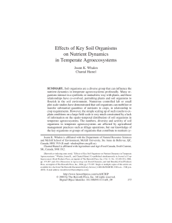 Effects of Key Soil Organisms on Nutrient Dynamics in Temperate