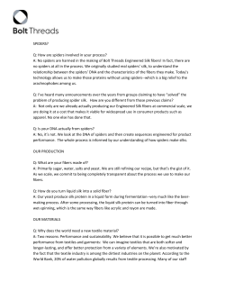 SPIDERS? Q: How are spiders involved in your process? A: No