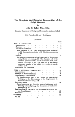 The Structure and Chemical Composition of the Golgi Element.