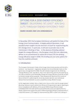 options for a 2030 energy efficiency target