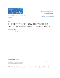the effects of slow release urea on nitrogen metabolism in cattle