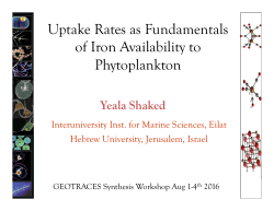 Uptake Rates as Fundamentals of Iron Availability to Phytoplankton