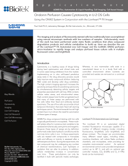 Oridonin Perfusion Causes Cytotoxicity in U-2 OS Cells