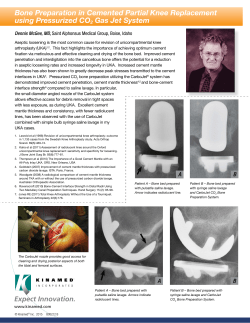 Bone Preparation in Cemented Partial Knee Replacement using