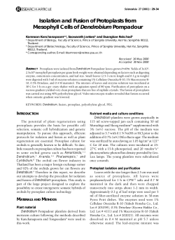 Isolation and Fusion of Protoplasts from Mesophyll Cells