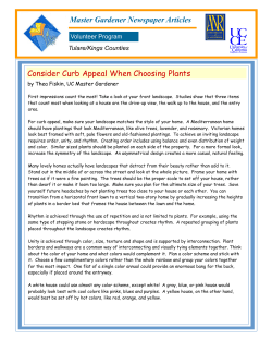 Consider Curb Appeal When Choosing Plants