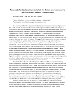 The spread of antibiotic resistant bacteria in the Hudson: one more