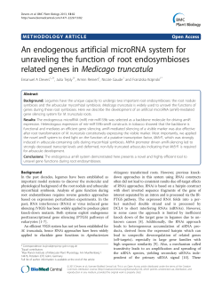 An endogenous artificial microRNA system for unraveling the