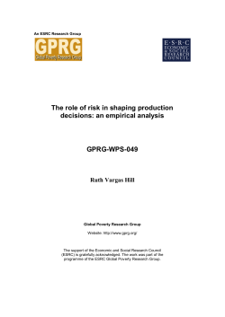 The role of risk in shaping production decisions: an empirical analysis