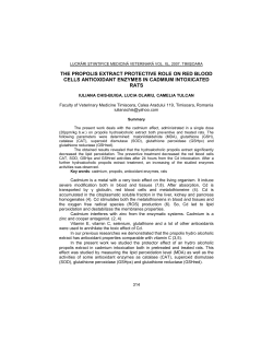 the propolis extract protective role on red blood cells antioxidant