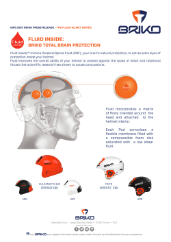 fluid inside - basicpress.com