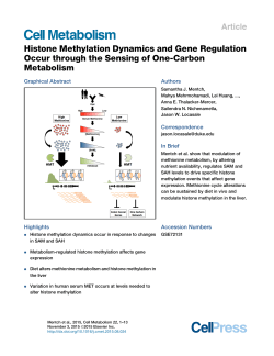Histone Methylation Dynamics and Gene Regulation Occur through