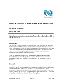 Public Submission to Water Market Rules Issues Paper