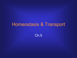 Ch.5 Notes - Green Local Schools