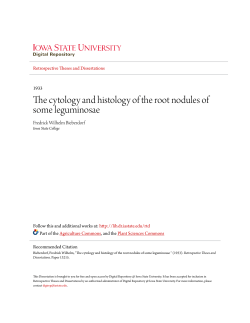 The cytology and histology of the root nodules of some leguminosae