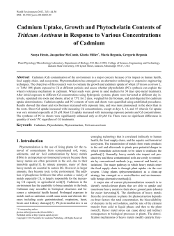 Cadmium Uptake, Growth and Phytochelatin Contents of Triticum