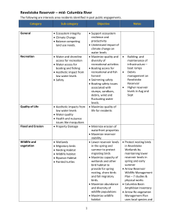 Revelstoke Reservoir – mid