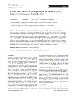 Genetic approaches to enhancing nitrogen