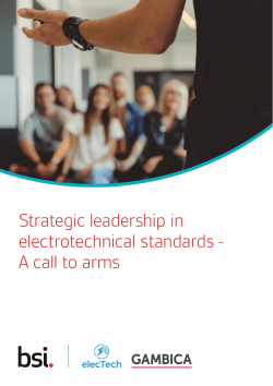 Strategic leadership in electrotechnical standards