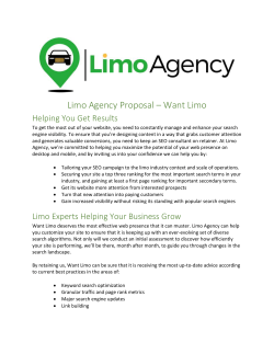 SEO Proposal Terms